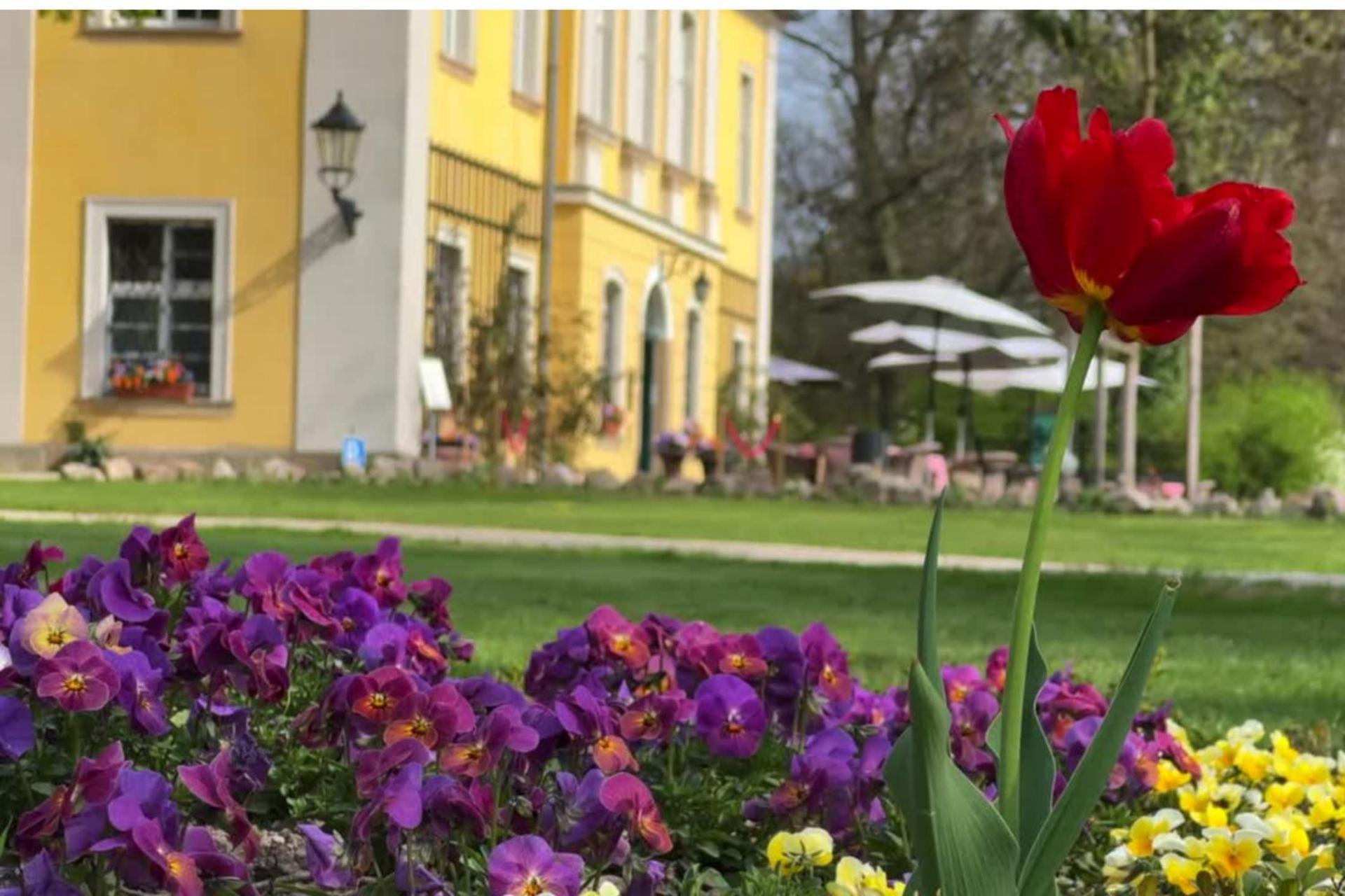 Palac Lomnica - Karkonosze / Riesengebirge Jelenia Góra Exterior foto